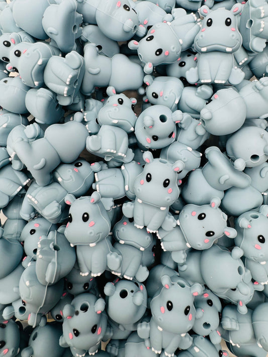 3D Hippo Focal