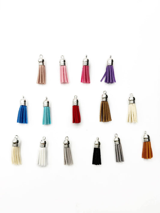 Small Silver Hardware Leather Tassels