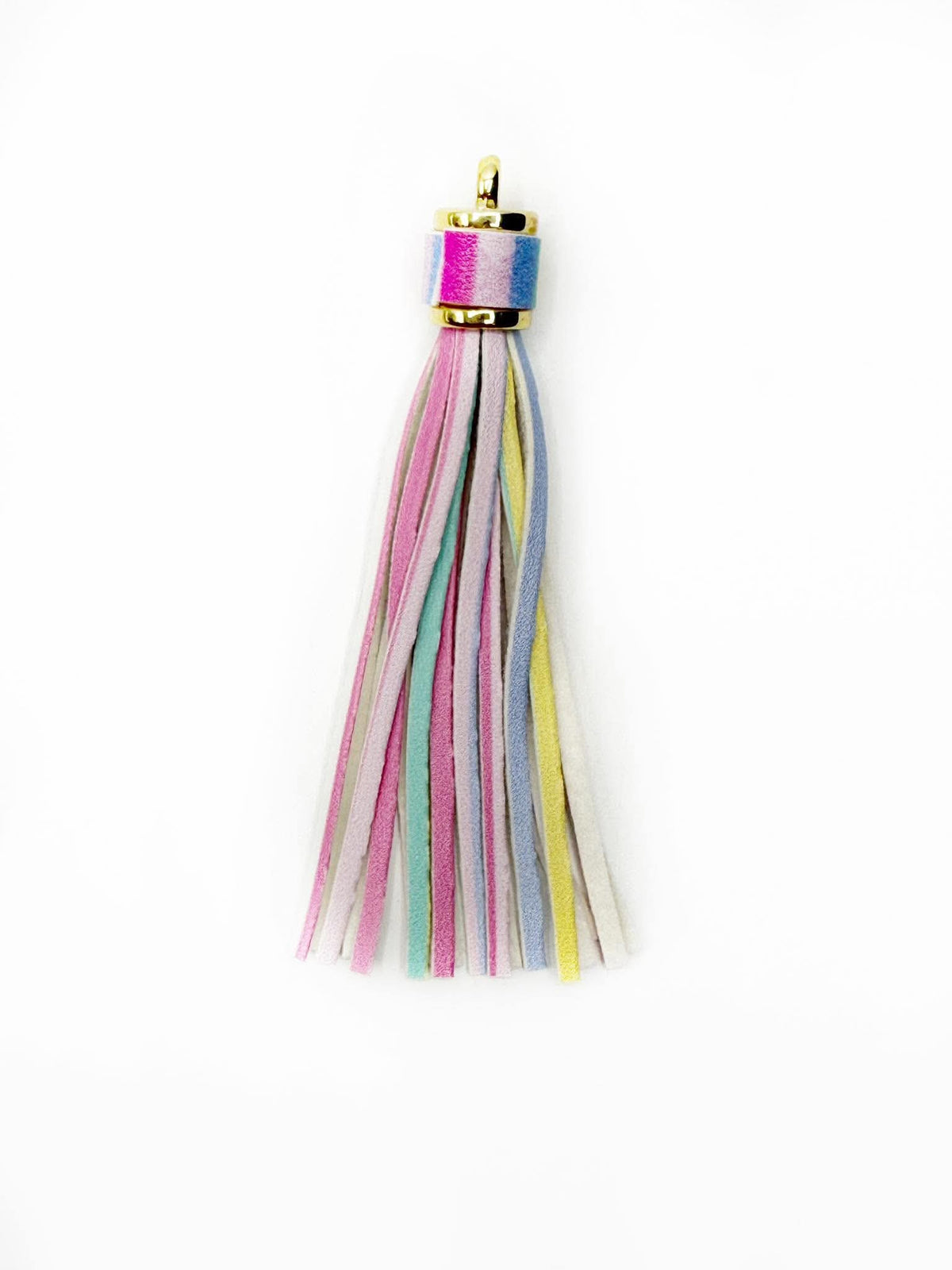 Rainbow Leather Tassel - Gold Hardware