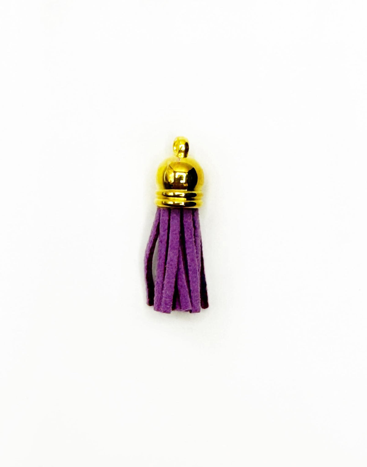 Small Gold Hardware Leather Tassels